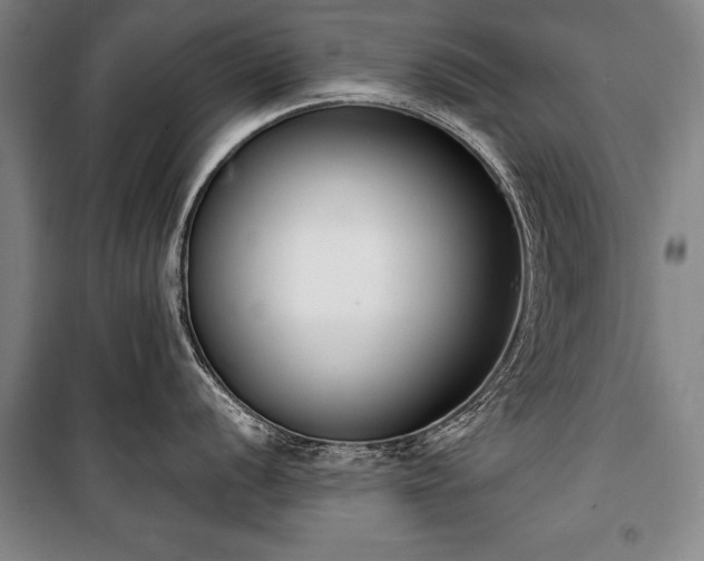 X0000101201056200806271346