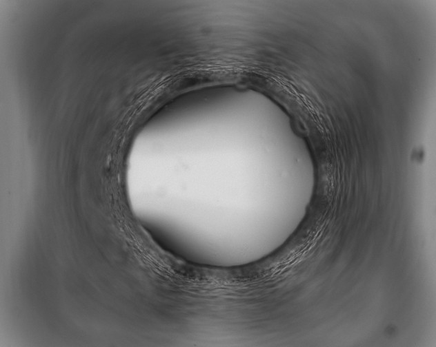 X0000101201057200806271345