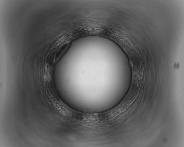 X0000101201058200806271345
