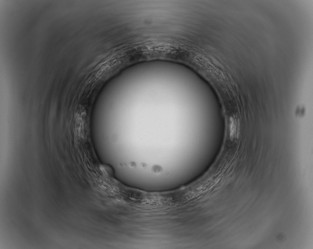 X0000101201059200806271345
