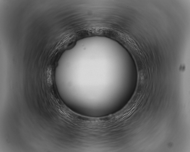 X0000101201060200806271345