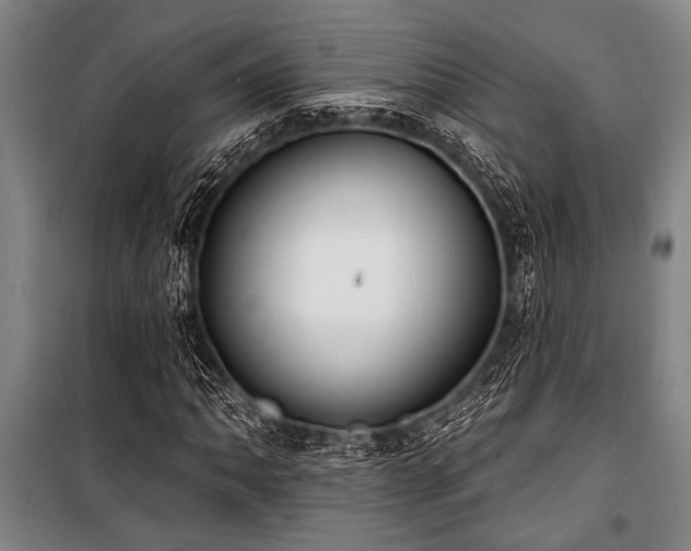 X0000101201062200806271345