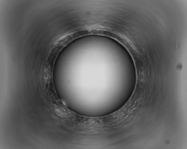 X0000101201063200806271345