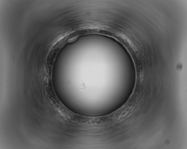 X0000101201064200806271345