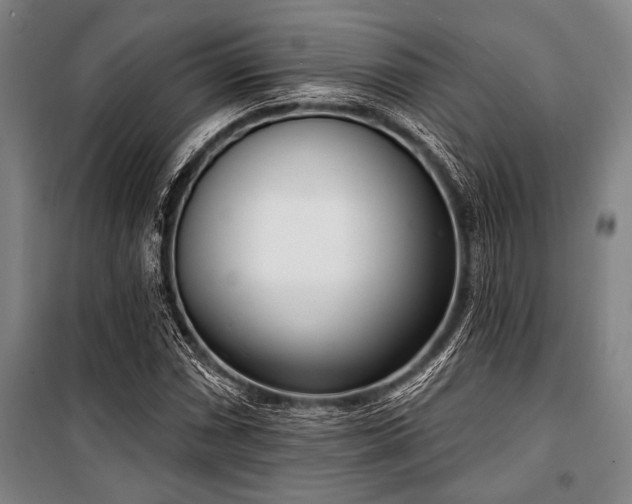 X0000101201066200806271345