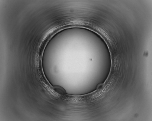 X0000101201067200806271345