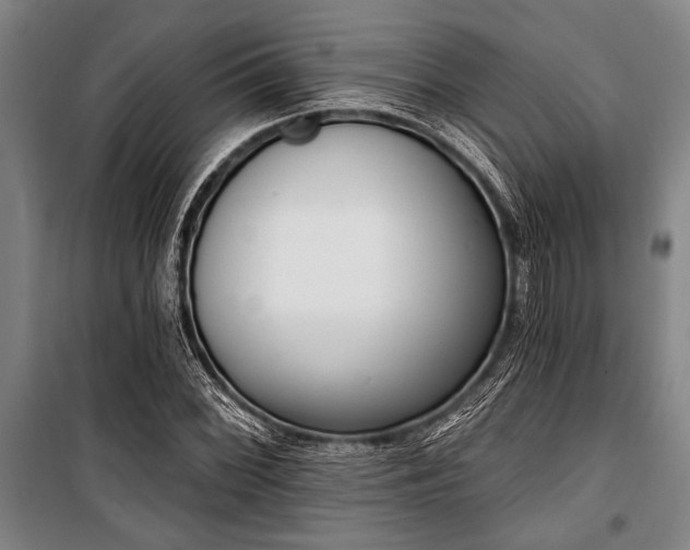 X0000101201068200806271345