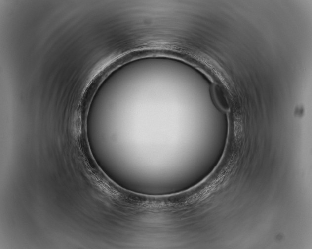 X0000101201069200806271345