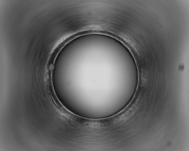 X0000101201070200806271345