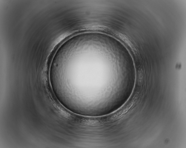 X0000101201071200806271345