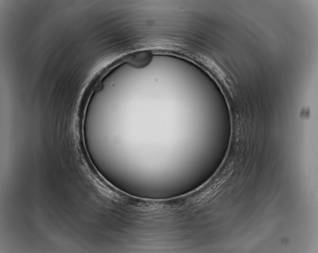 X0000101201072200806271345