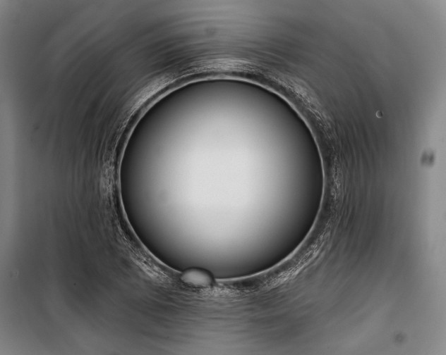 X0000101201073200806271345