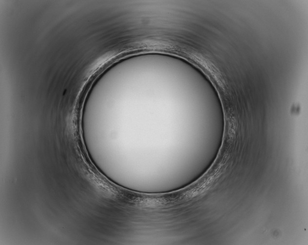X0000101201074200806271345