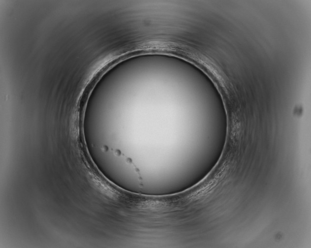 X0000101201075200806271345