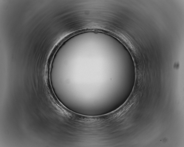 X0000101201076200806271345
