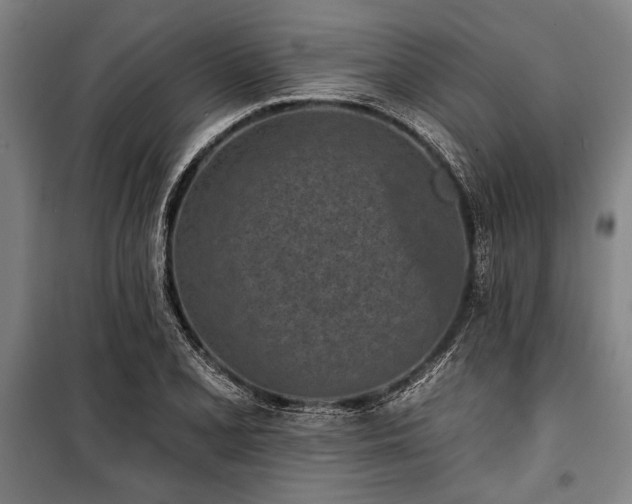 X0000101201077200806271345