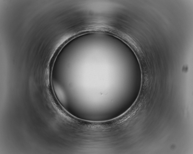 X0000101201079200806271345
