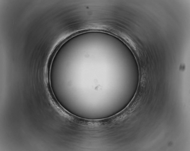 X0000101201080200806271345