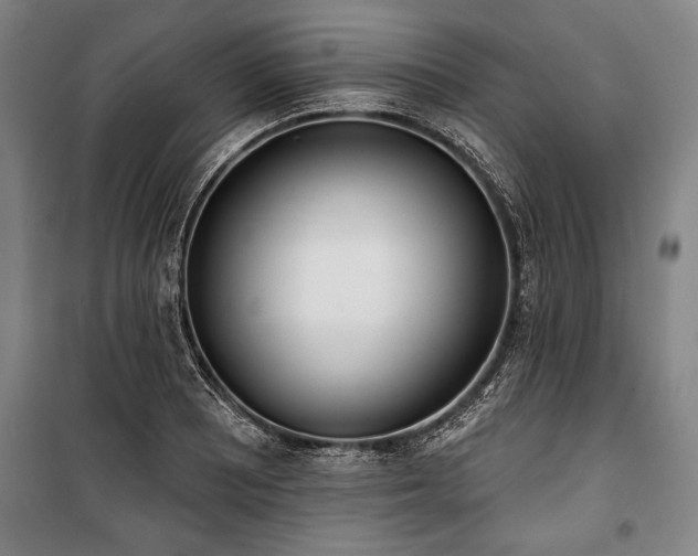 X0000101201081200806271345