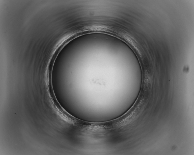 X0000101201082200806271345