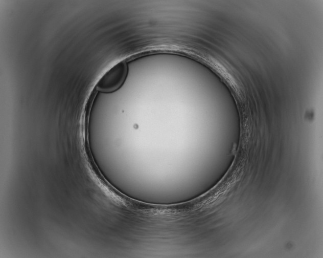 X0000101201084200806271345