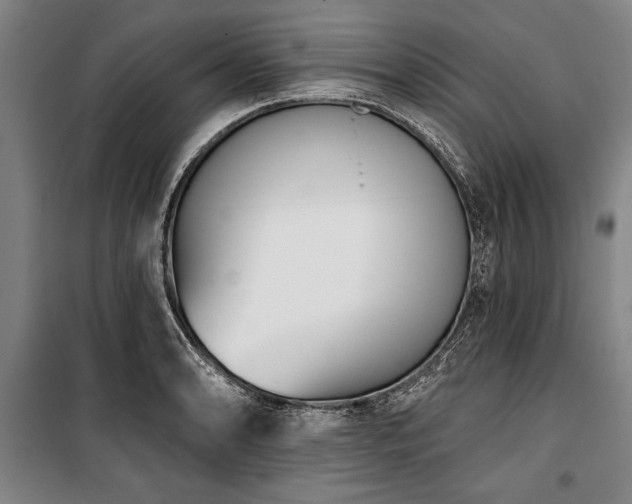 X0000101201086200806271345