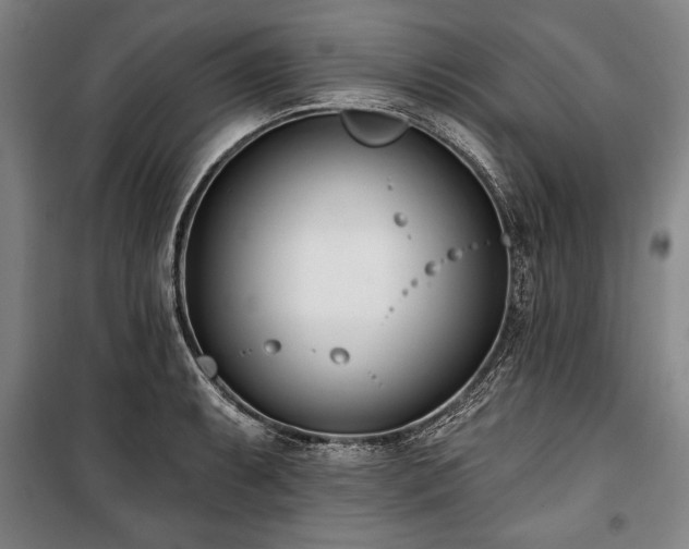 X0000101201087200806271345