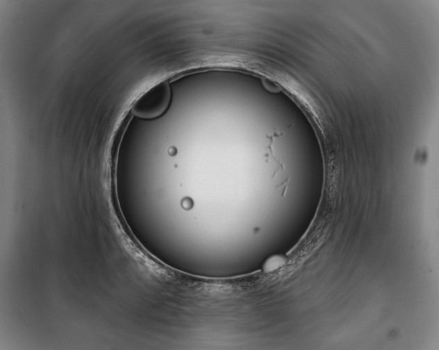X0000101201088200806271345