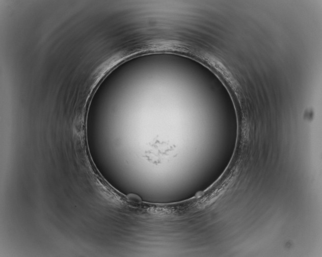 X0000101201089200806271345