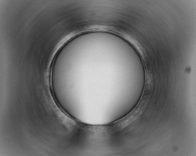 X0000101201090200806271345