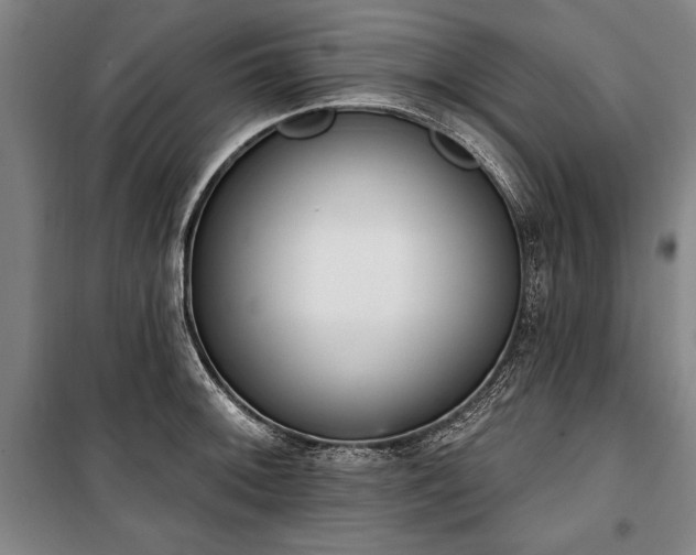 X0000101201092200806271345