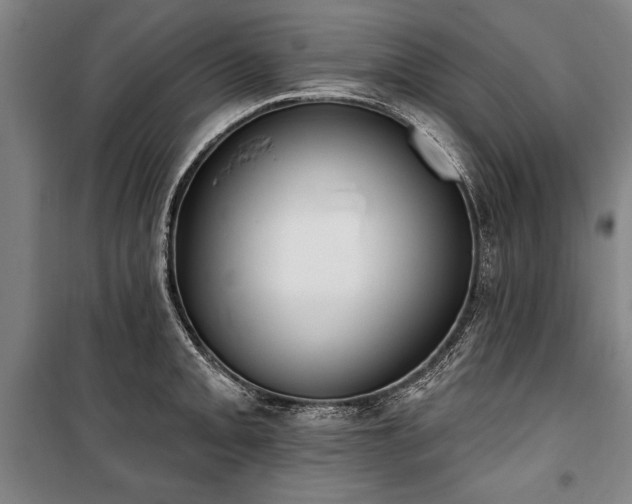 X0000101201093200806271345
