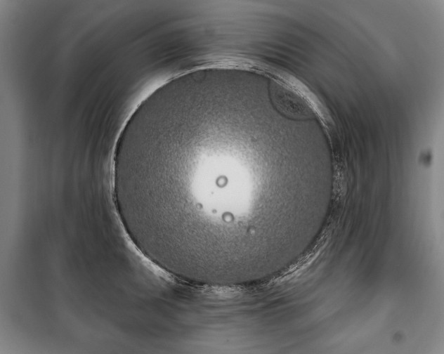 X0000101201095200806271345
