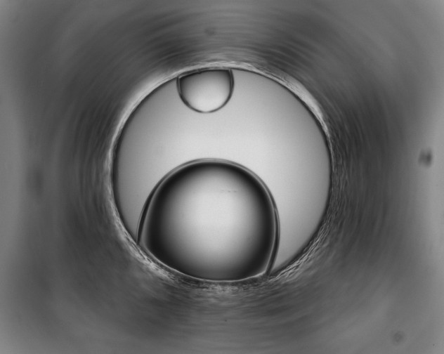 X0000101201096200806271345