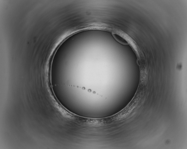 X0000101201099200806271345
