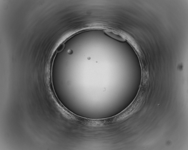 X0000101201101200806271345