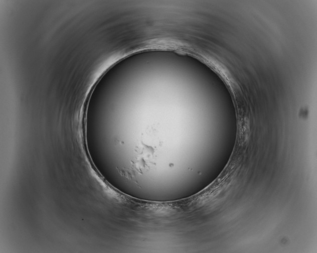 X0000101201103200806271345