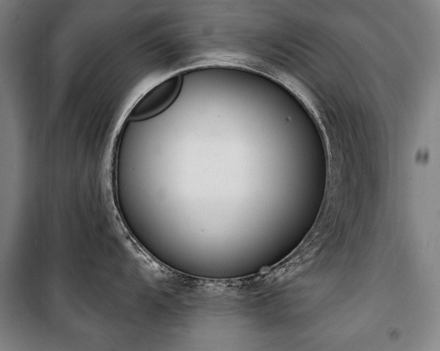 X0000101201104200806271345