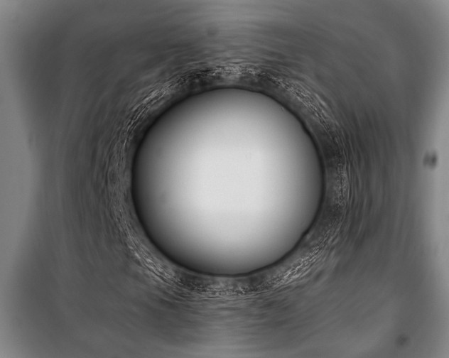 X0000101201105200806271344