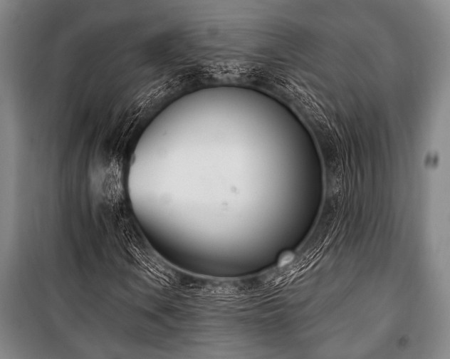 X0000101201106200806271344