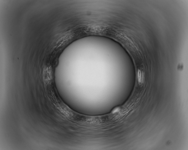 X0000101201107200806271344