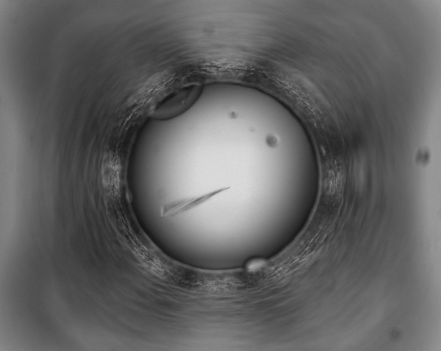 X0000101201108200806271344