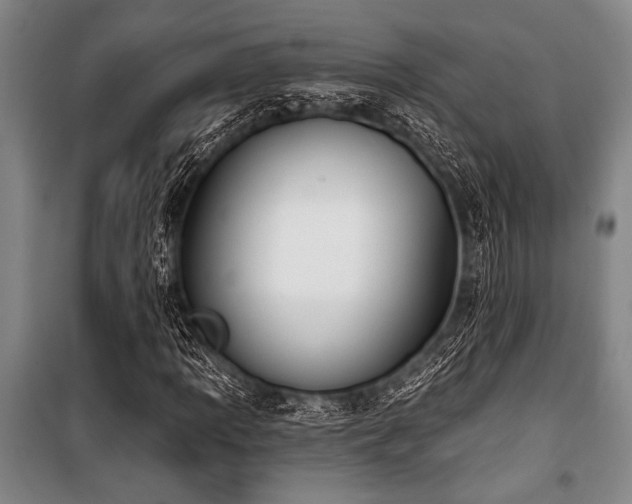 X0000101201109200806271344
