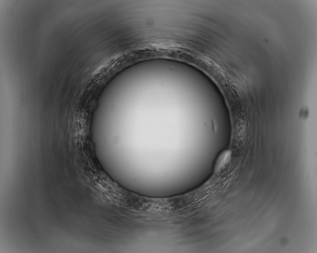 X0000101201110200806271344