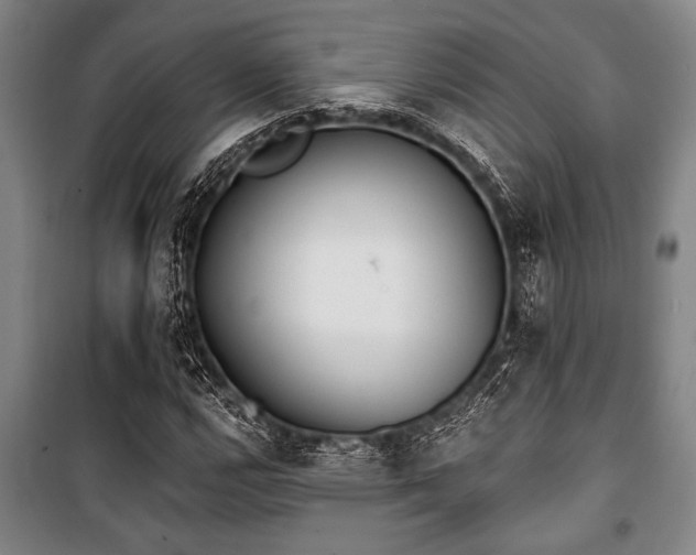 X0000101201112200806271344