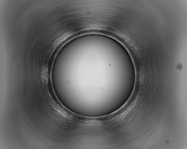 X0000101201113200806271344