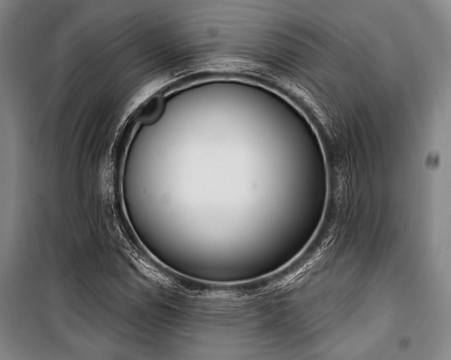 X0000101201114200806271344