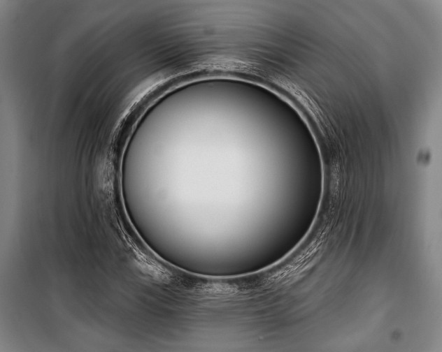 X0000101201115200806271344