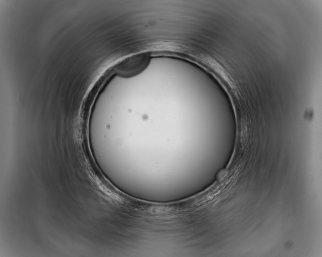 X0000101201116200806271344