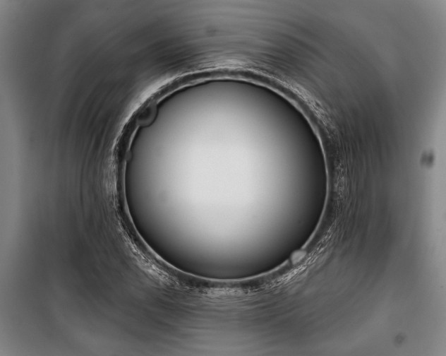 X0000101201118200806271344